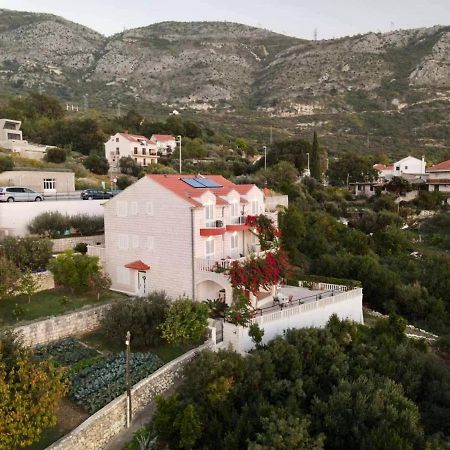 Villa Panorama Dubrovnik Mlini Extérieur photo